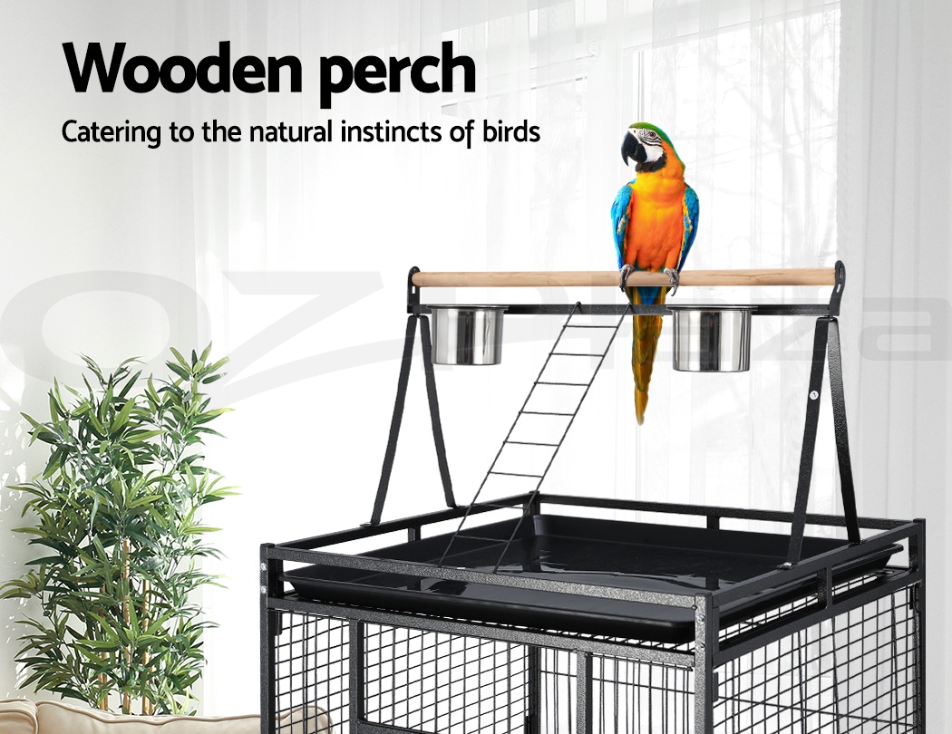 PET-BIRDCAGE-H173-WP07.jpg