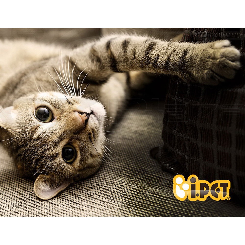 i.Pet Cat Tree Tower Scratching Post Scratcher Wood Condo Bed Toys Play Ladder - Picture 96 of 139