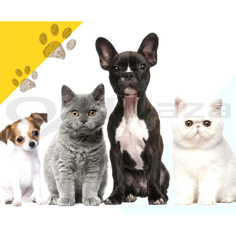 i.Pet Pet Dog Playpen Enclosure Cage 8 Panel Puppy Fence Play Pen Foldable Metal - Picture 27 of 97