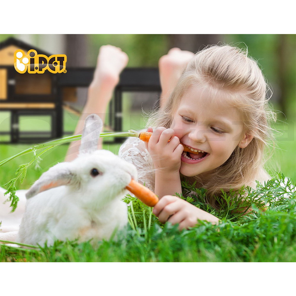 i.Pet Chicken Coop Rabbit Hutch Large Extra Large Hutches Wooden House Run Cage - Picture 86 of 190