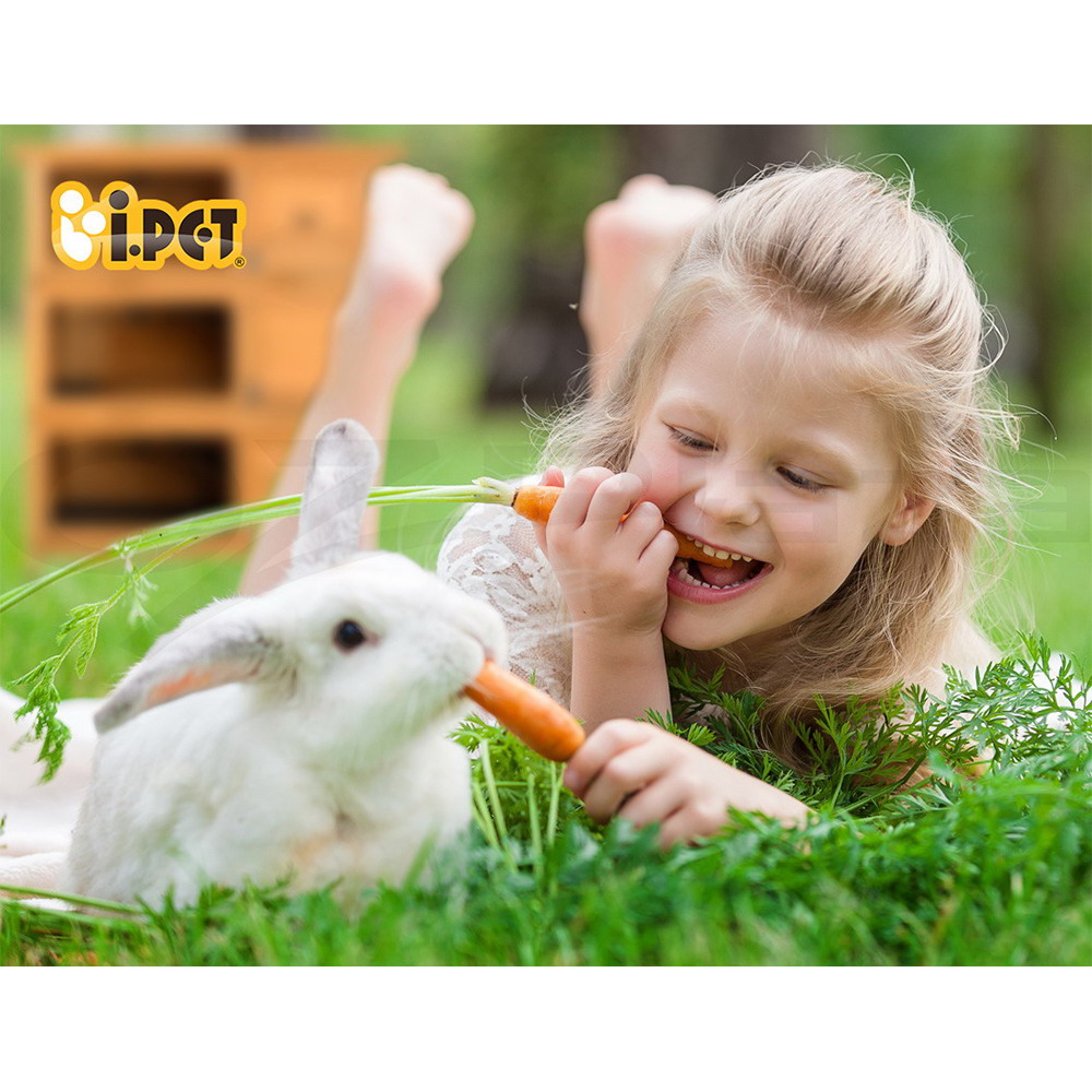 i.Pet Chicken Coop Rabbit Hutch Large Extra Large Hutches Wooden House Run Cage - Picture 164 of 190