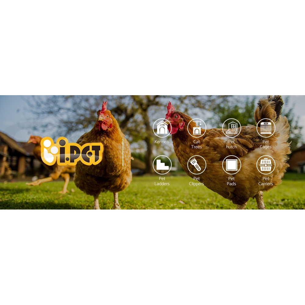 i.Pet Chicken Coop Rabbit Hutch Large Extra Large Hutches Wooden House Run Cage - Picture 39 of 190