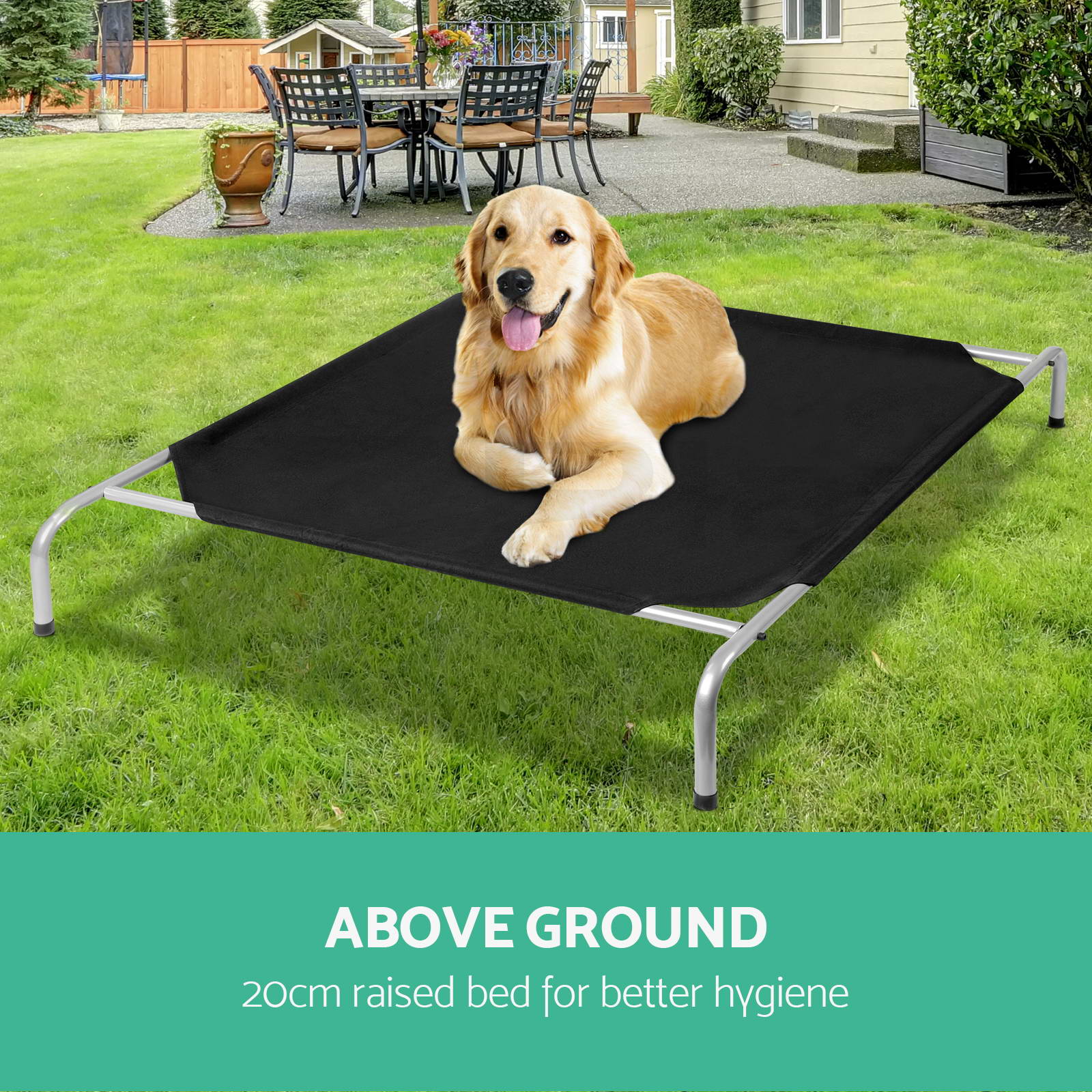 Trampoline Dog Beds Australia Trampoline Dog Beds Australia