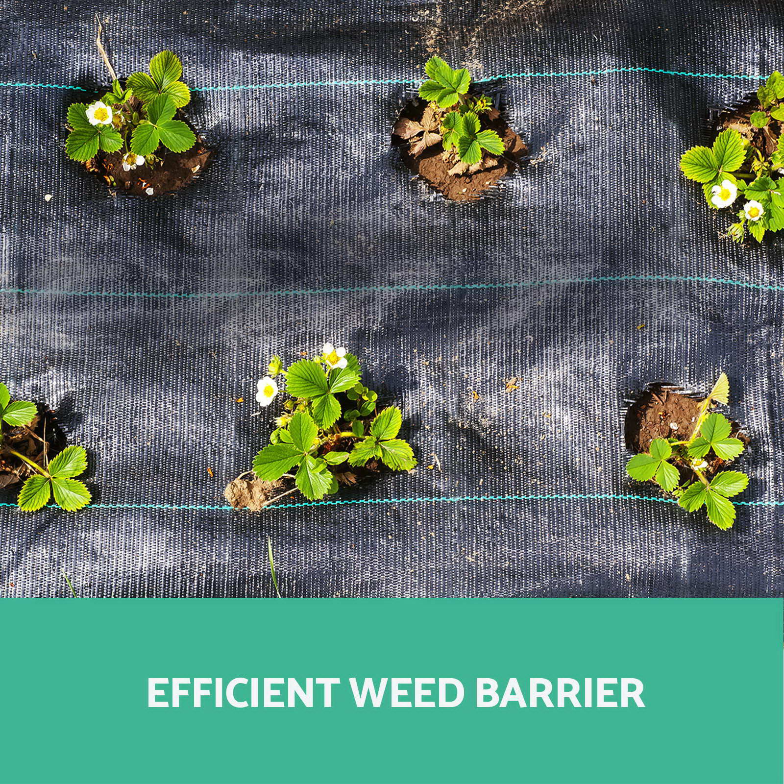 Instahut Weedmat Weed Control Mat Matting Woven Fabric Plant PE 20200m