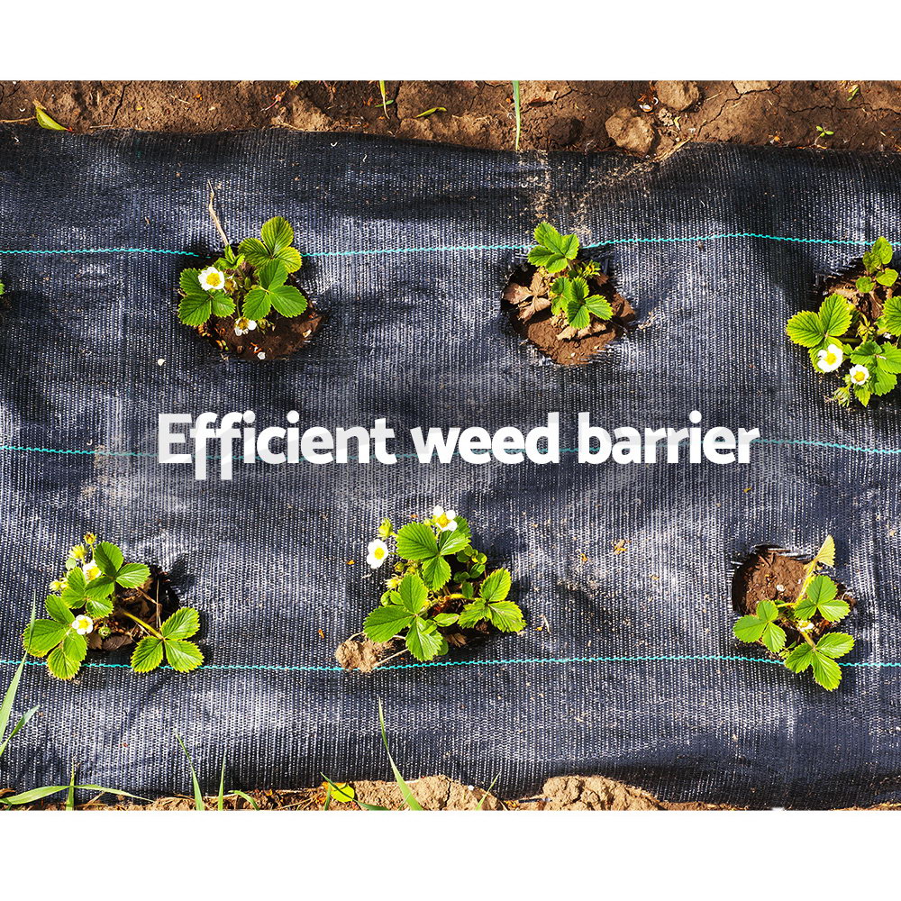 Instahut Weedmat Weed Control Mat Matting Woven Fabric Plant PE 20200m